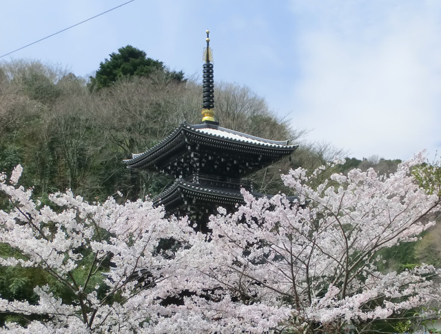 浄発願寺